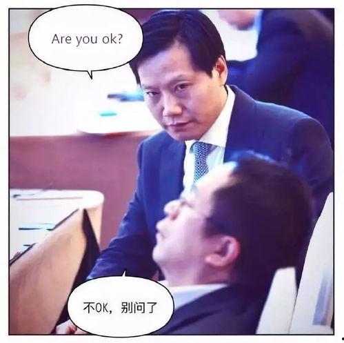 娱乐爆料社雷军搞笑视频,笑翻网友,科技大佬变身喜剧明星 第1张 娱乐爆料社雷军搞笑视频,笑翻网友,科技大佬变身喜剧明星 第1张